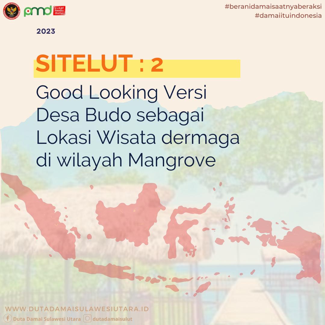 SITELUT 2: Good Looking Versi Desa Budo Sebagai Lokasi Wisata Dermaga di Wilayah Mangrove